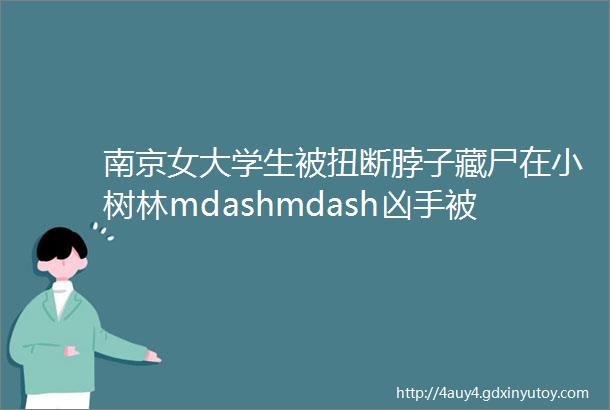 南京女大学生被扭断脖子藏尸在小树林mdashmdash凶手被执行死刑更多细节曝光背后细思极恐
